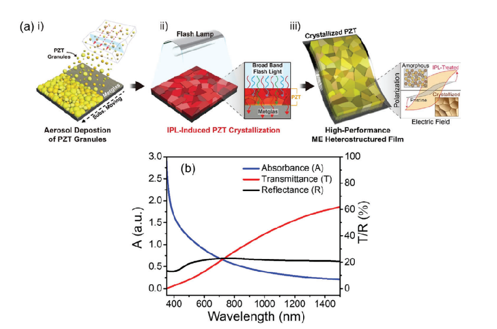 《Advanced Material》：采用光子燒結(jié)熱處理Pb（Zr，Ti）O3/Metglas異質(zhì)結(jié)構(gòu)薄膜會(huì)產(chǎn)生超過20Vcm?1Oe?1的極大磁電耦合（IF=29.477）